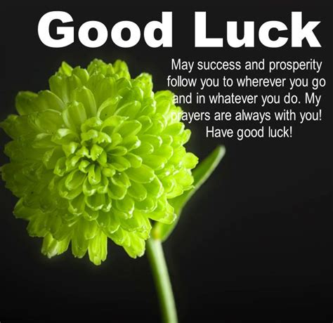 best of luck|best of luck sayings.